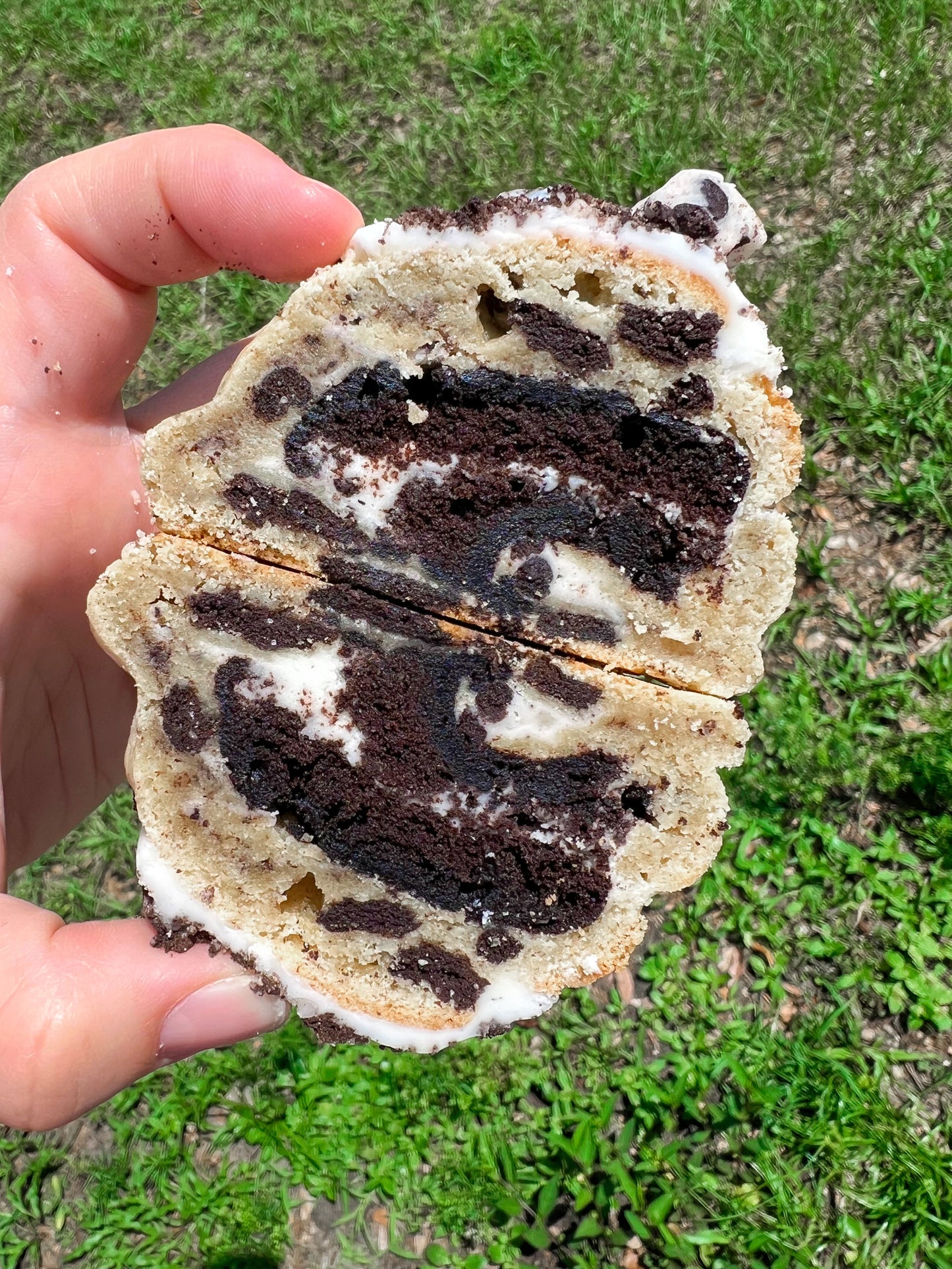 Cookies & Cream Cookie