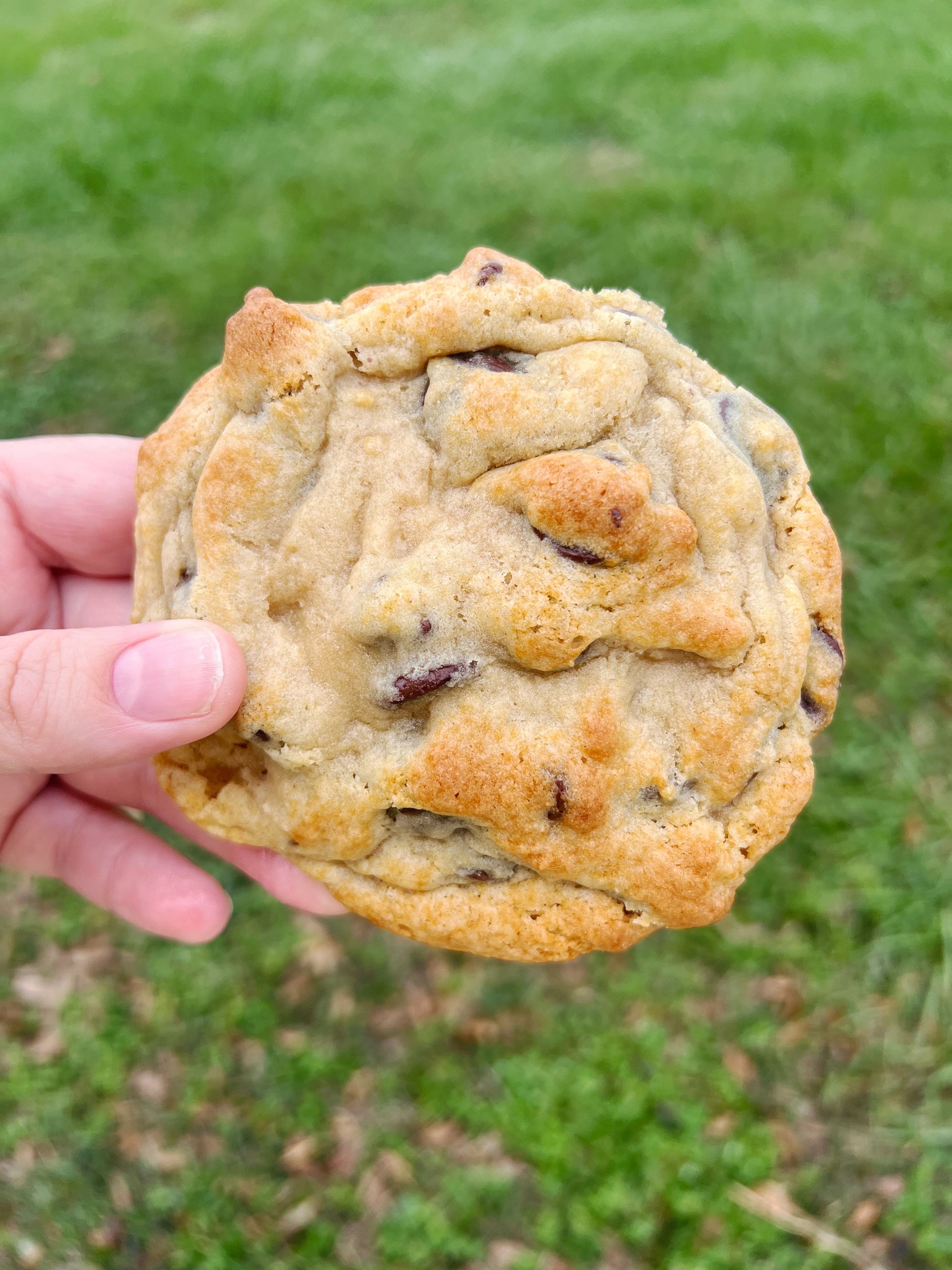 Sourdough Cookies image 0