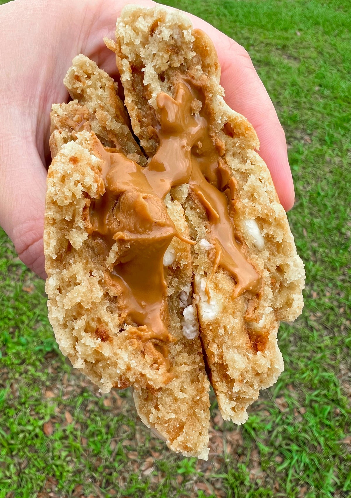 Biscoff Bestie Cookie