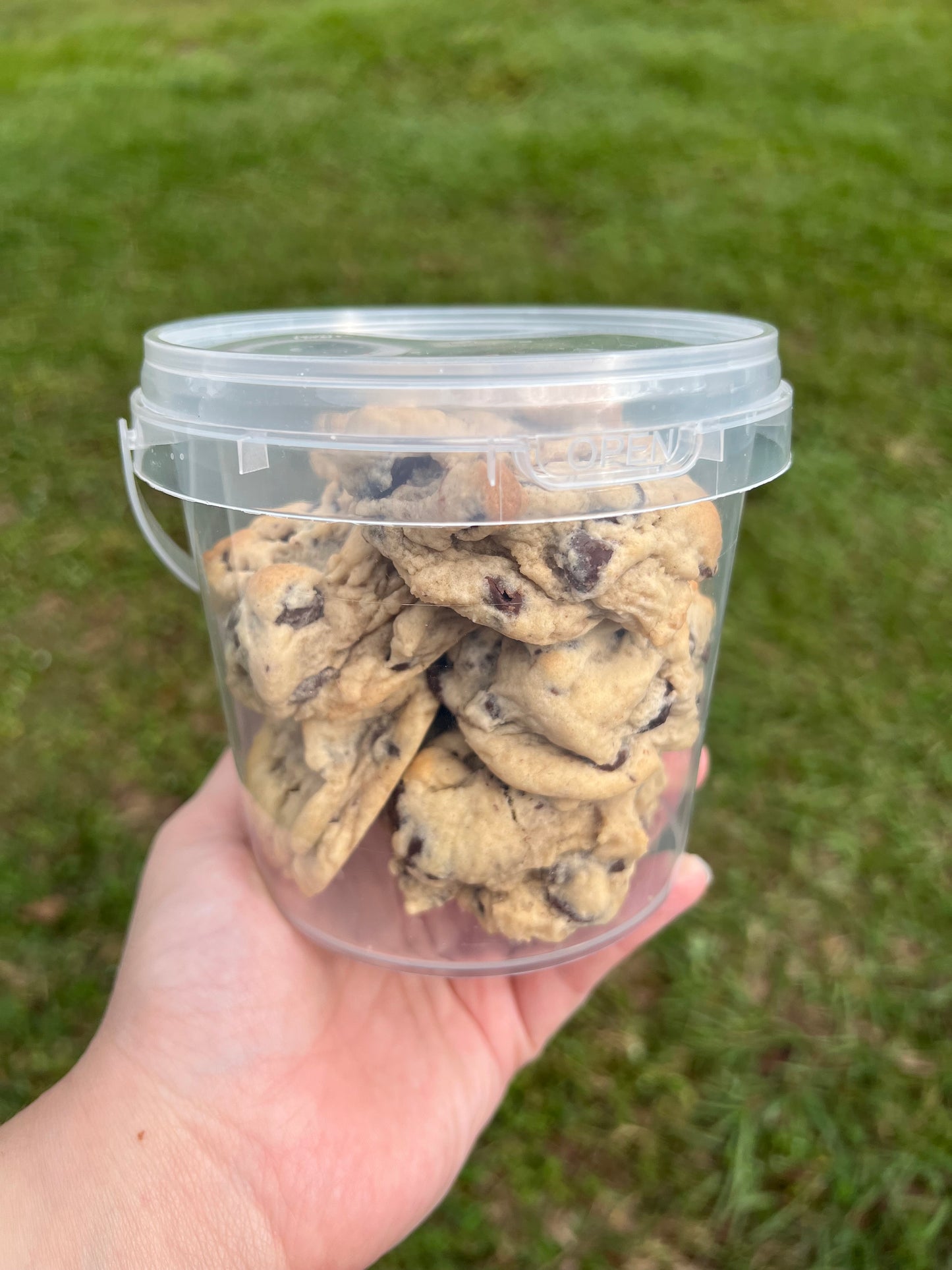 Chocolate Chip Cookie Nibblers